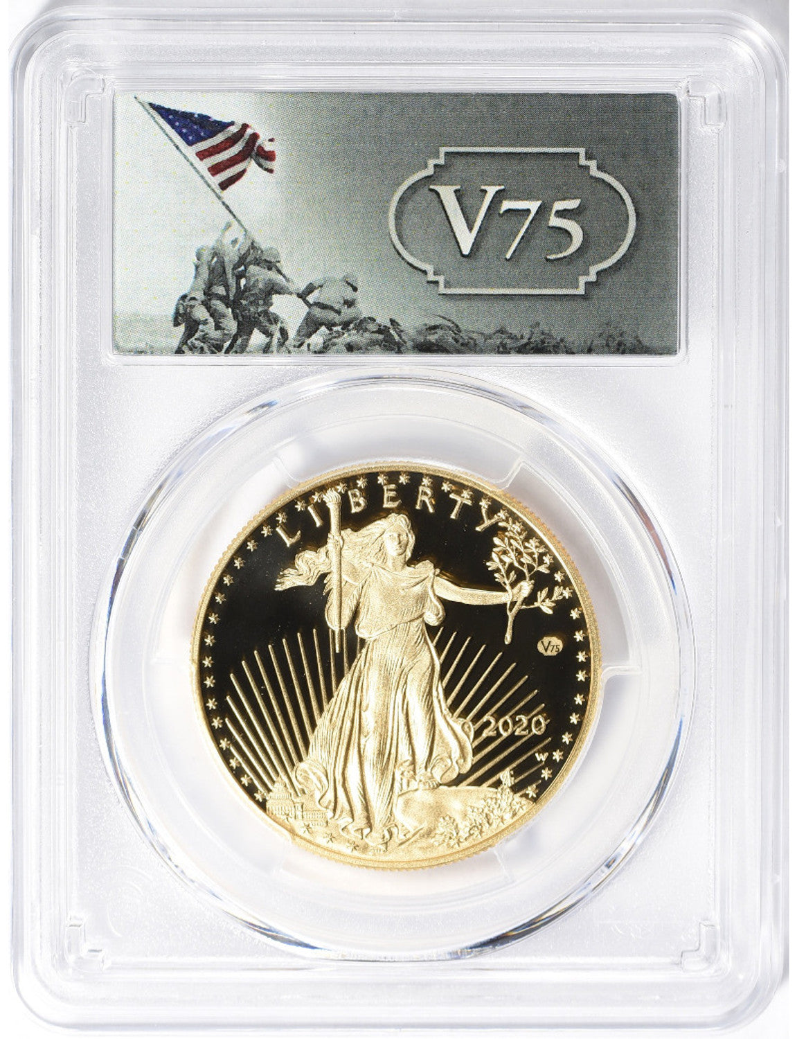 American Gold Eagles